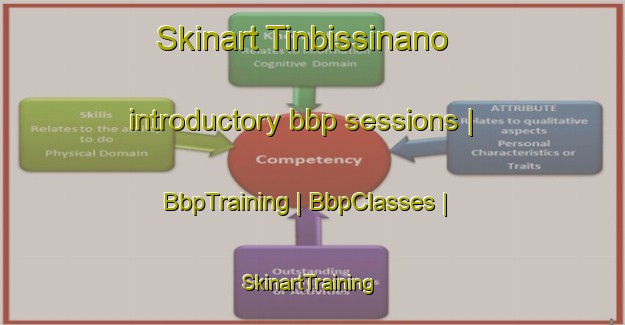 Skinart Tinbissinano introductory bbp sessions | BbpTraining | BbpClasses | SkinartTraining-Burkina Faso